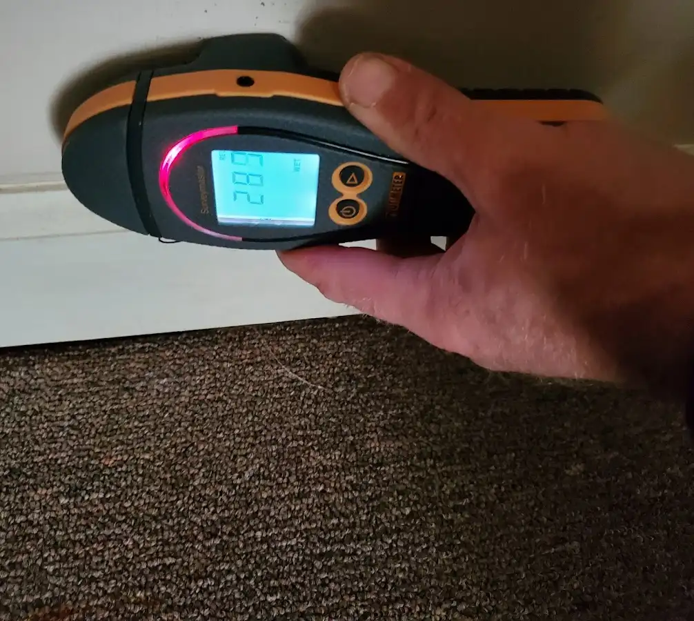 Moisture detection at baseboard during Mold Inspection & Testing in Sequim