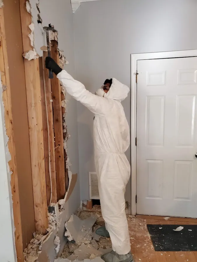 Mold Inspection & Testing in Sequim, WA